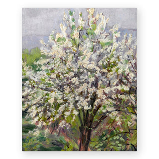 almond-blossom-in-spring-art-print_Featured