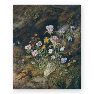 alpine-flora-art-print_Featured