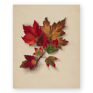autumn-leaves-i-art-print_Featured