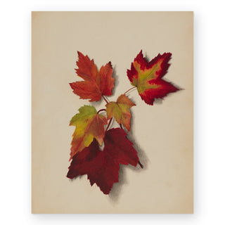 autumn-leaves-ii-art-print_Featured