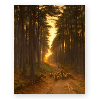 autumn-sunlight-ii-art-print_Featured