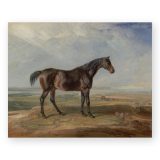 bay-horse-art-print_Featured