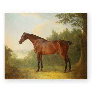 bay-hunter-in-a-landscape-art-print_Featured