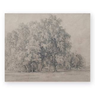 birch-park-art-print_Featured