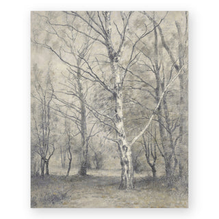 birch-trees-art-print_Featured