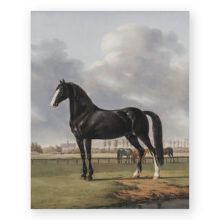 black-horse-art-print_Featured