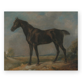 black-riding-horse-art-print_Featured