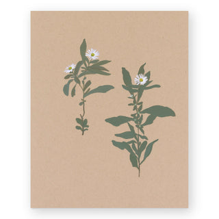 botanical-brittany-smith-art-print_Featured