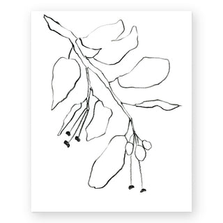 botanical-pencil-drawing-art-print_Featured