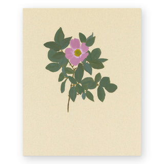 botanical-xxii-art-print_Featured