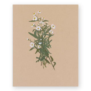 botanical-xxiv-art-print_Featured