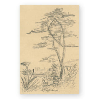 cedar-zeichnung-no-1-sara-jeffries-art-print_Featured
