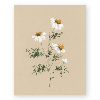 chamomile-i-art-print_Featured