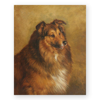champion-eclipse-a-sable-and-white-rough-collie-art-print_Featured