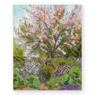 cherry-blossom-with-trellis-fence-art-print_Featured