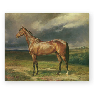 chestnut-arab-horse-art-print_Featured