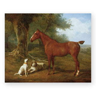 chestnut-hunter-art-print_Featured