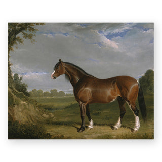 clydesdale-stallion-art-print_Featured