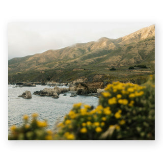 coastal-stillness-sally-grieshaber-art-print_Featured