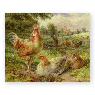 cochin-china-fowls-art-print_Featured