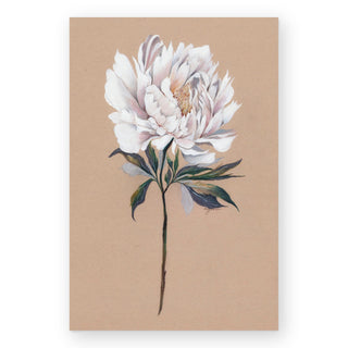 cottage-peony-art-print_Featured