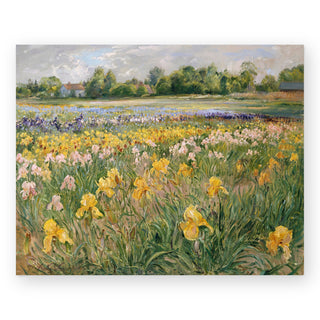 cottages-and-iris-field_Featured