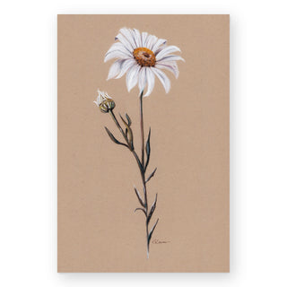 daisy-summer-ii-art-print_Featured