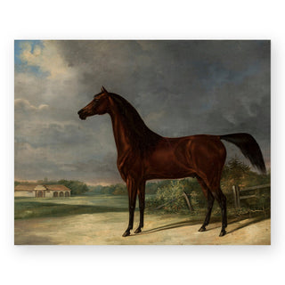 dark-bay-horse-art-print_Featured
