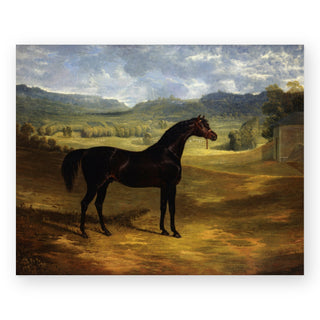 dark-bay-racehorse-in-a-paddock-at-bolton-hall-art-print_Featured
