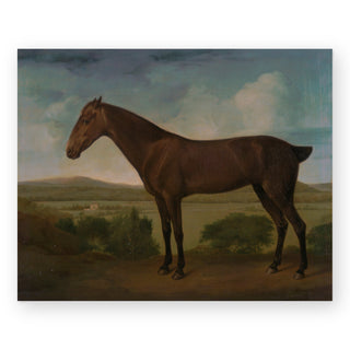 dark-brown-horse-art-print_Featured