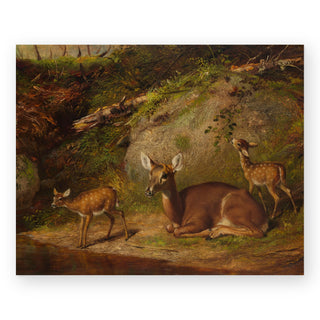 doe-and-two-fawns-art-print_Featured
