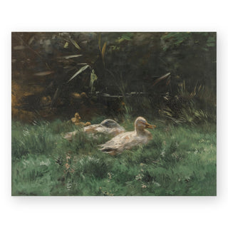 ducks-art-print_Featured