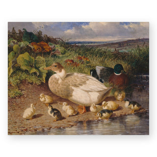 ducks-by-a-stream-art-print_Featured