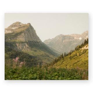 elevation-sally-grieshaber-art-print_Featured