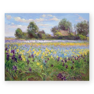 farmstead-and-iris-field_Featured