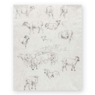 flock-of-sheep-art-print_Featured