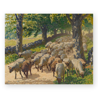 flock-of-sheep-volkert-art-print_Featured