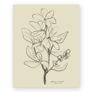 floral-i-dan-hobday-art-print_Featured