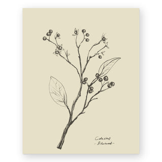 floral-ii-dan-hobday-art-print_Featured