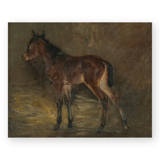 foal-ladislav-mednyansky-art-print_Featured