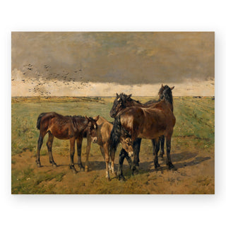 foals-in-the-paddock-art-print_Featured