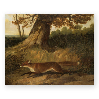 fox-on-the-run-art-print_Featured