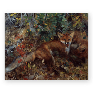 foxes-bruno-andreas-art-print_Featured