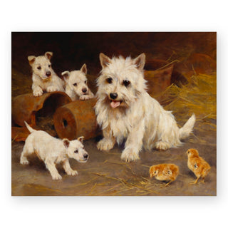 friend-or-foe-art-print_Featured