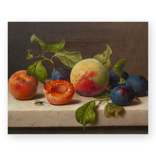 fruit-study-art-print_Featured