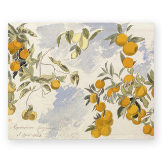 fruit-trees-art-print_Featured