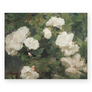 garden-roses-blush-art-print_Featured