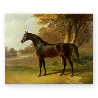 glaucus-equestrian-art-print_Featured