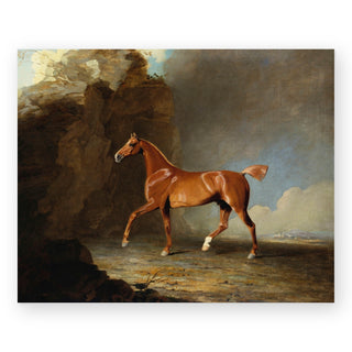 golden-chestnut-racehorse-art-print_Featured