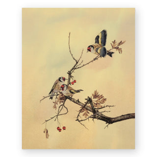 goldfinches-art-print_Featured